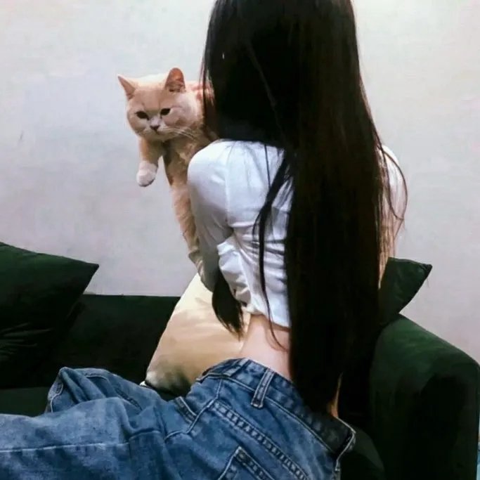 炮弹飞车粤语
